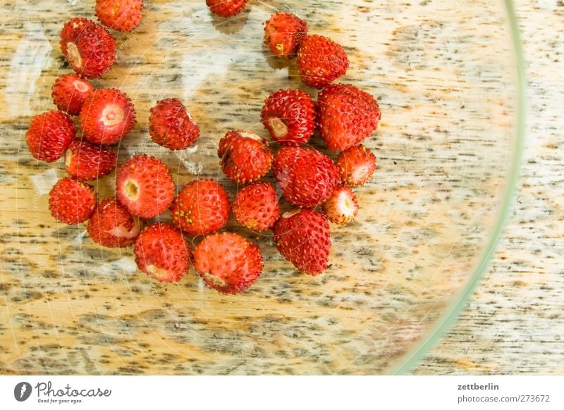 Walderdbeeren Lebensmittel Frucht Picknick Bioprodukte Vegetarische Ernährung Fingerfood Teller Gesundheit Gesunde Ernährung Sommer Garten Natur Pflanze Blatt