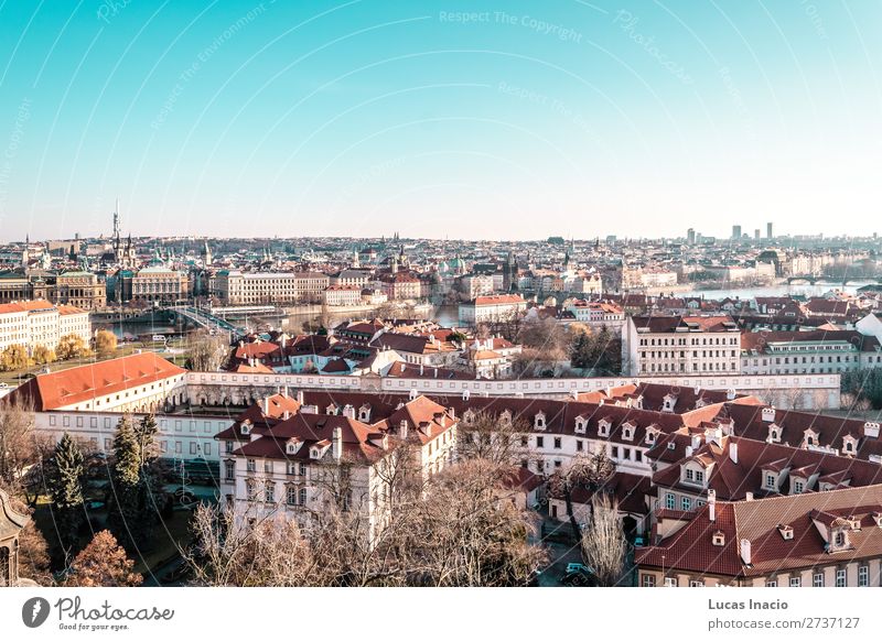 Panoramablick auf Prag, Tschechien Ferien & Urlaub & Reisen Tourismus Haus Büro Business Umwelt Natur Himmel Baum Blatt Fluss Stadtzentrum Altstadt Skyline