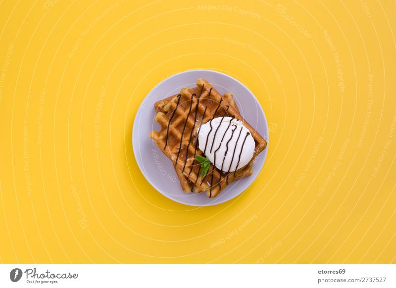 Waffel mit Schokoladensauce, Eis und Minze Dessert Speiseeis Belgier Belgien weiß süß Lebensmittel Gesunde Ernährung Foodfotografie Hintergrund Frühstück Wafer