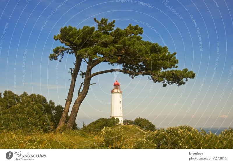 Hiddensee 001 Fischerdorf Menschenleer Leuchtturm Bauwerk Sehenswürdigkeit Wahrzeichen Schifffahrt Zeichen positiv blau grün Zufriedenheit Romantik ruhig Kitsch