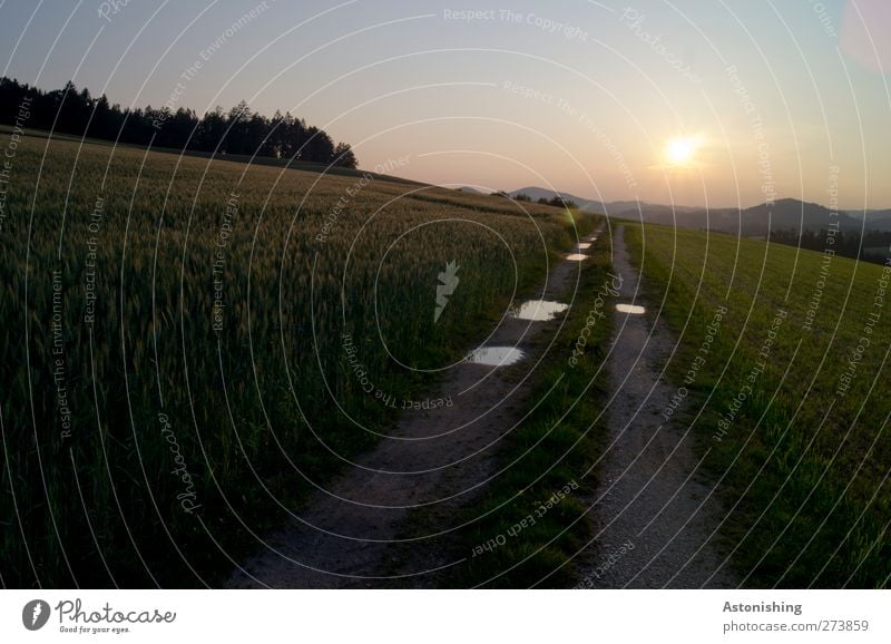 Weg Umwelt Natur Landschaft Pflanze Erde Sand Wasser Himmel Wolkenloser Himmel Horizont Sonne Sonnenaufgang Sonnenuntergang Sommer Wetter Schönes Wetter Wärme