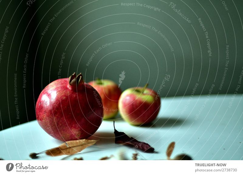 Still mit Granatapfel, zwei Äpfeln und trockenen Lindenblüten Frucht Apfel Bioprodukte Vegetarische Ernährung Diät kaufen Reichtum elegant Design Freude Glück