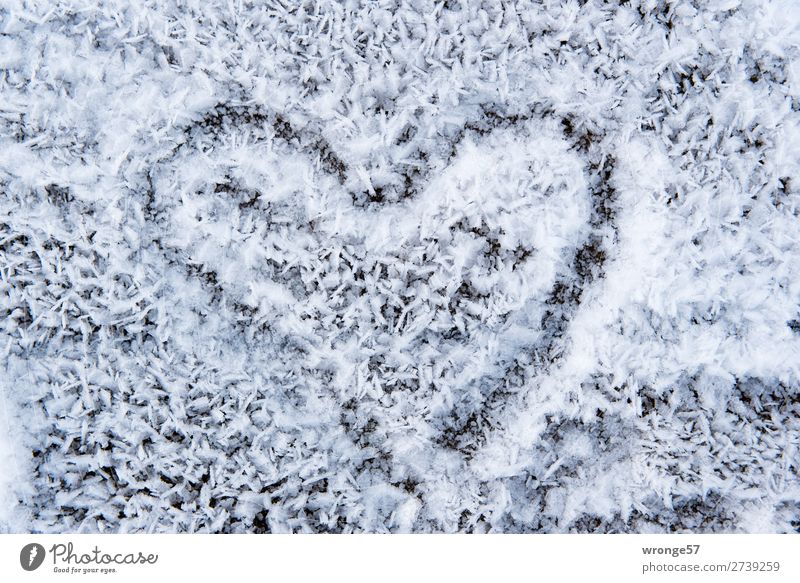 Erkaltete Liebe Zeichen Herz schwarz weiß Hoffnung Valentinstag Kälteschock Raureif Winter Liebesbekundung Farbfoto Gedeckte Farben Außenaufnahme Nahaufnahme