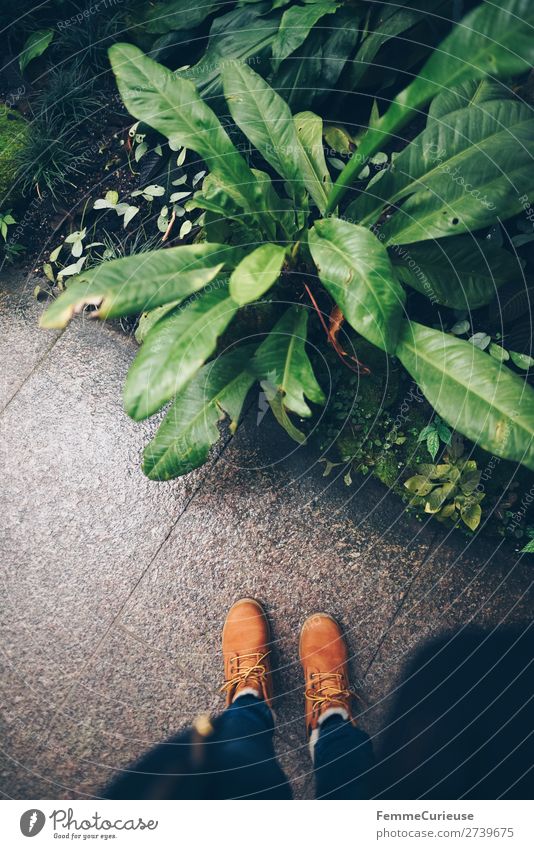 Person standing in greenhouse feminin 1 Mensch Natur Botanischer Garten Gewächshaus Botanik Pflanze Winterschuhe Schuhe Steinboden grün Bürgersteig Farbfoto