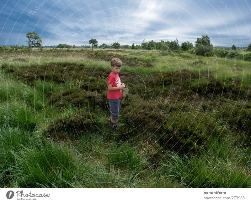 Wanderung Im Moor ruhig Freizeit & Hobby Ausflug Sommer wandern Kind 1 Mensch 8-13 Jahre Kindheit Natur Landschaft Pflanze Tier Himmel Wolken Horizont