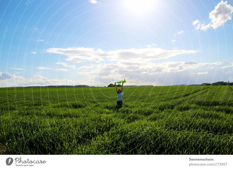 Wo fängt dein Himmel an? feminin Junge Frau Jugendliche 1 Mensch 18-30 Jahre Erwachsene Natur Wolken Sonne Sonnenlicht Sommer Schönes Wetter Wärme Gras Feld