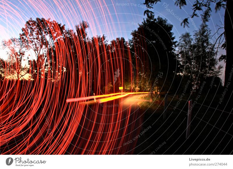 ...abgefahren Kunst Künstler Maler Natur Landschaft Himmel Baum Sträucher Wildpflanze Verkehrswege Straßenverkehr Autofahren Wege & Pfade Fahrzeug PKW drehen