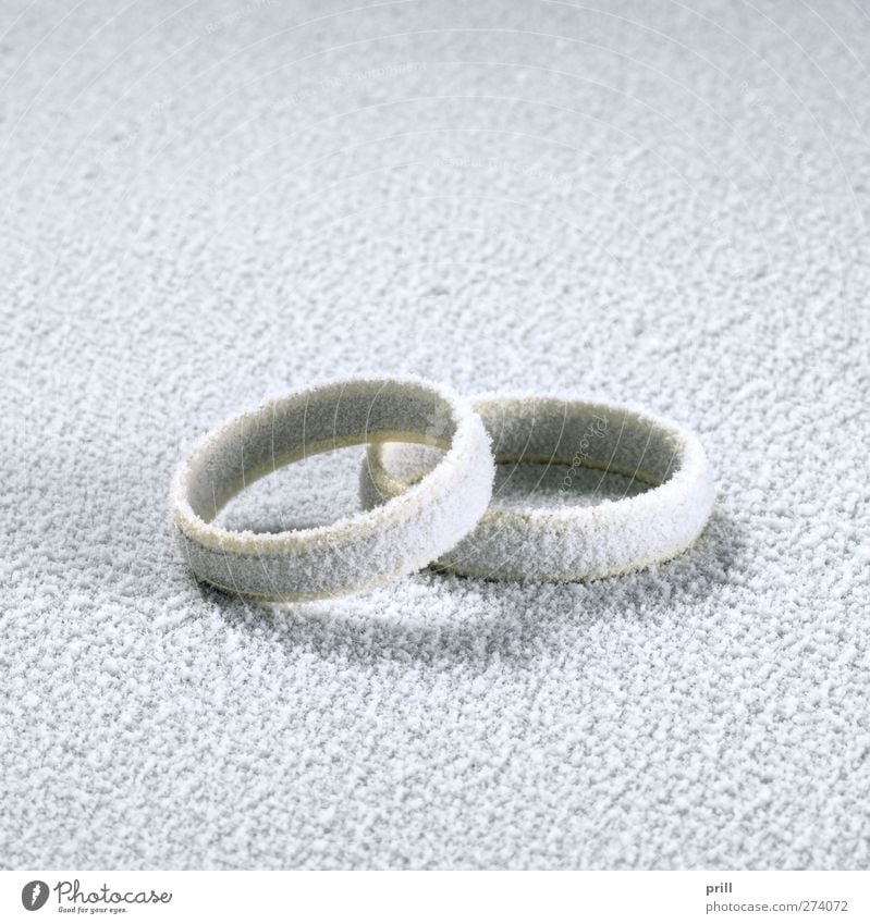 frosted wedding rings Dekoration & Verzierung Hochzeit Bekleidung Schmuck Liebe kalt Ehering reif Verhalten konzepte Symbole & Metaphern Anschluss Vereinbarung