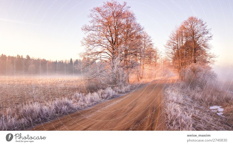 Blick auf die gefrorene Straße im frühen Frühjahr. Nebliger Morgen schön Ferien & Urlaub & Reisen Ausflug Ferne Freiheit Expedition Winter Schnee Natur