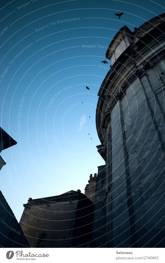 Blick nach oben Architektur historisch Historische Bauten Himmel himmelblau Abenddämmerung Dämmerung alt Außenaufnahme Altstadt Sehenswürdigkeit Bauwerk