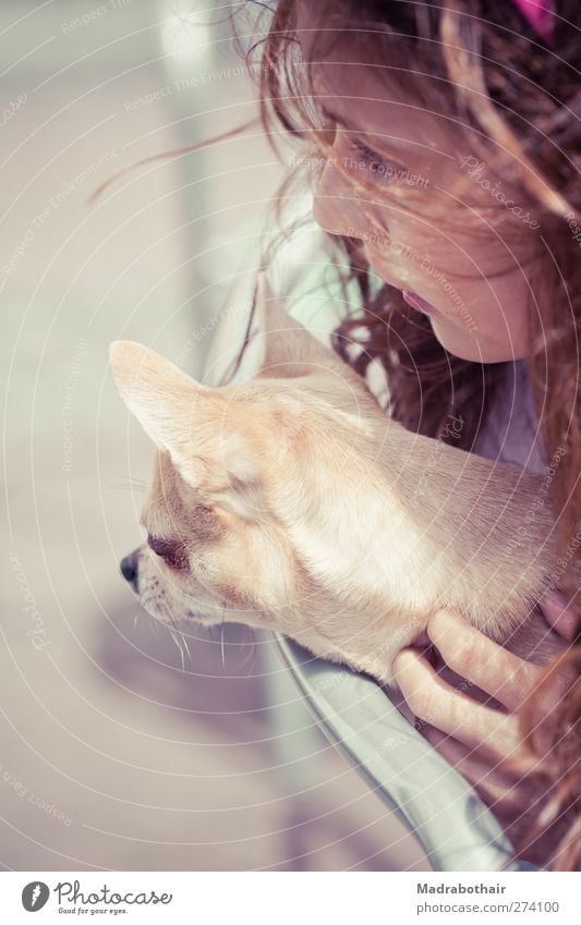 Zuschauer feminin Kind Mädchen Kindheit Kopf 1 Mensch 8-13 Jahre Haustier Hund Tier Blick Zusammensein klein Neugier niedlich Tierliebe Freundschaft Fürsorge