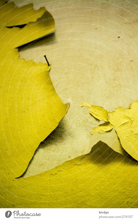 Da hilft auch der Nagel nix mehr Mauer Wand alt Frustration Wandel & Veränderung abblättern Farbe Tapete verwohnt Farbfoto Gedeckte Farben Innenaufnahme