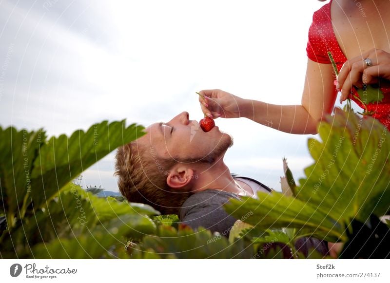 pleasurable experience Frucht Essen Bioprodukte Mensch Junger Mann Jugendliche Partner 2 18-30 Jahre Erwachsene Bart Erholung genießen exotisch Gesundheit