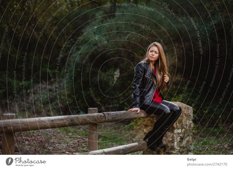 Cooles blondes Mädchen, das auf einem Holzzaun sitzt. Lifestyle Glück schön Erholung Ferien & Urlaub & Reisen Mensch Frau Erwachsene Natur Herbst Blatt Park