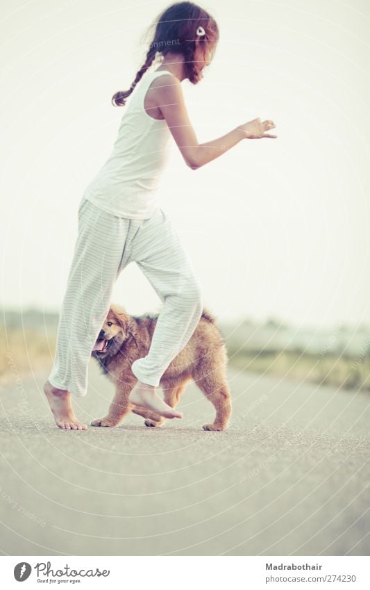 ungezwungene Kindheit Spielen feminin Leben 1 Mensch Wege & Pfade brünett langhaarig Zopf Haustier Hund Elo Tier Tierjunges laufen Zusammensein schön niedlich