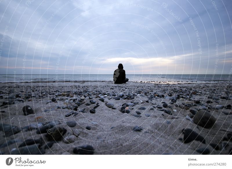 Hiddensee | Room To Stay Mensch Rücken 1 Umwelt Sand Himmel Wolken Horizont Schönes Wetter Küste Strand Ostsee beobachten sitzen Zufriedenheit Gelassenheit