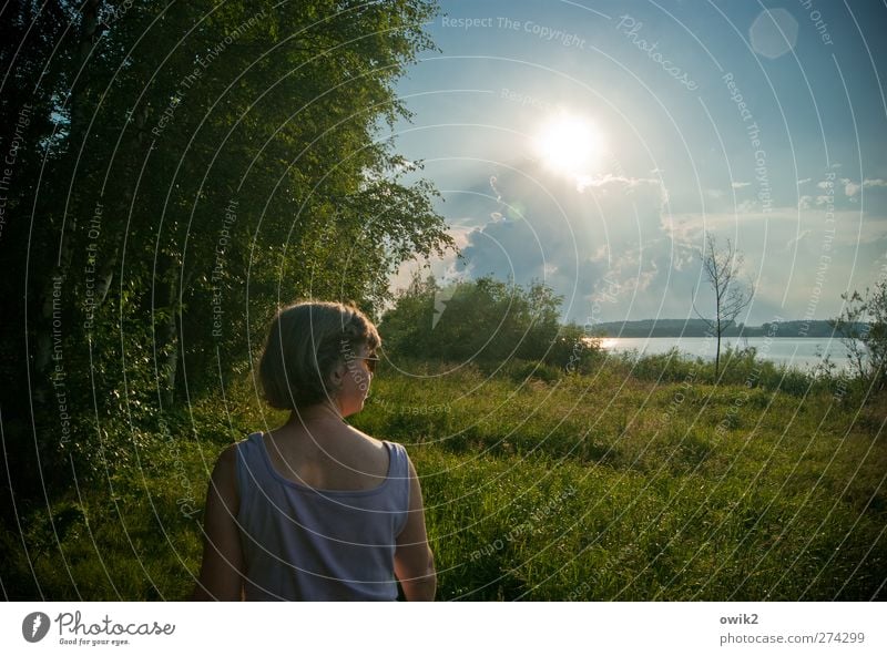 Vorgang Ausflug Mensch feminin Frau Erwachsene Kopf Rücken Arme 1 Umwelt Natur Landschaft Pflanze Wasser Himmel Wolken Horizont Klima Wetter Schönes Wetter