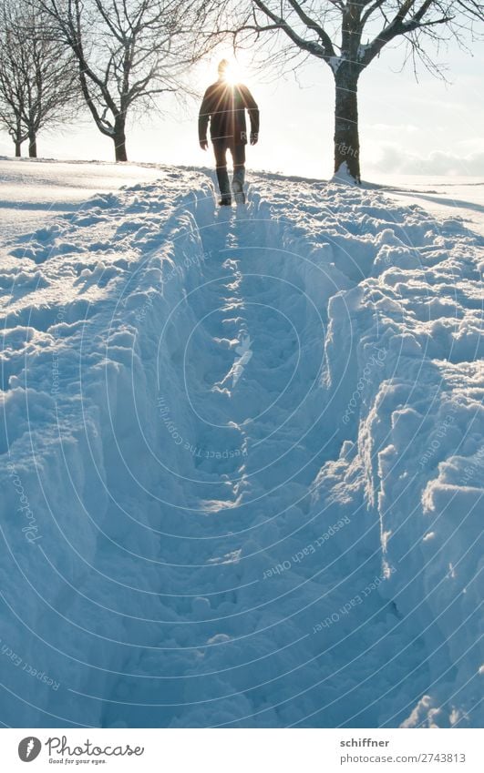 Der Sonne entgegen I Mensch maskulin 1 Umwelt Natur Landschaft Winter Schönes Wetter Eis Frost Schnee Baum gehen Tiefschnee Schneelandschaft Schneedecke