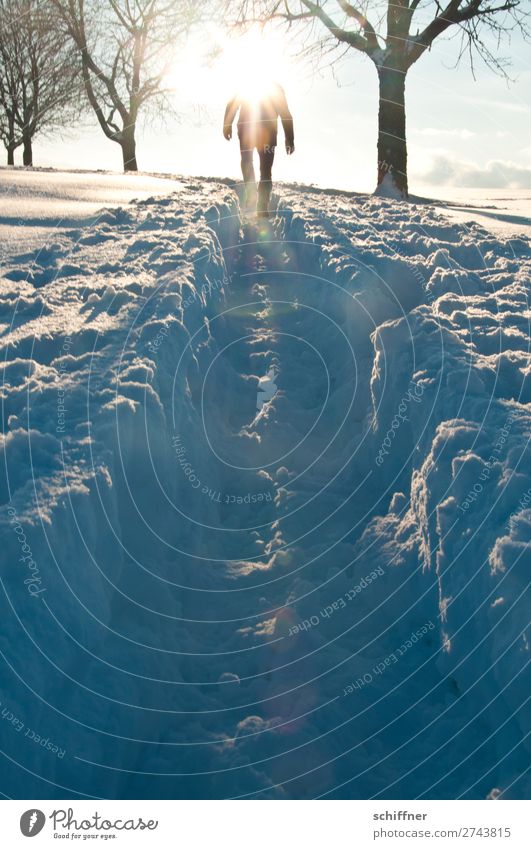 Der Sonne entgegen II Mensch maskulin 1 Umwelt Natur Landschaft Winter Schönes Wetter Eis Frost Schnee Baum gehen Tiefschnee Schneelandschaft Schneedecke