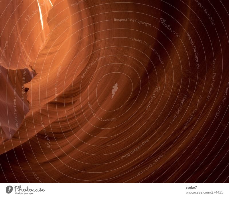 steinwelle Felsen Schlucht orange Surrealismus Symmetrie Wellenform Antelope Canyon Tunnelblick Gedeckte Farben Außenaufnahme Menschenleer Textfreiraum rechts