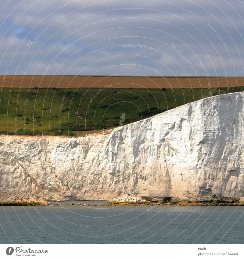 Weiße Klippen Umwelt Natur Landschaft Wasser Himmel Pflanze Gras Feld Felsen Küste Meer Kanal Ärmelkanal Insel England weiße Klippen Stein schön blau grün