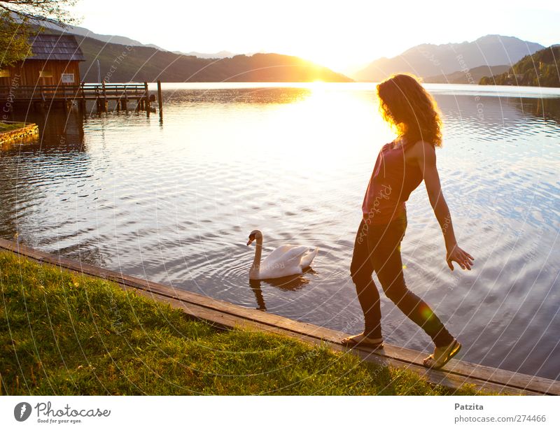 Schwanensee Frau See Sonnenuntergang Gegenlicht Silhouette Tanzen Abend Abenddämmerung Licht Sonnenstrahlen Wasser gehen Spaziergang Freizeit & Hobby Sommer