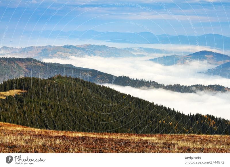 Nebel über den Bergen und Tälern schön Ferien & Urlaub & Reisen Tourismus Abenteuer Berge u. Gebirge wandern Umwelt Natur Landschaft Himmel Wolken Wetter Park