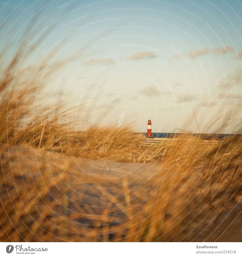 little one (No.2) harmonisch Wohlgefühl ruhig Tourismus Ausflug Sommer Sommerurlaub Sonne Strand Meer Landschaft Sand Himmel Horizont Schönes Wetter Gras Küste