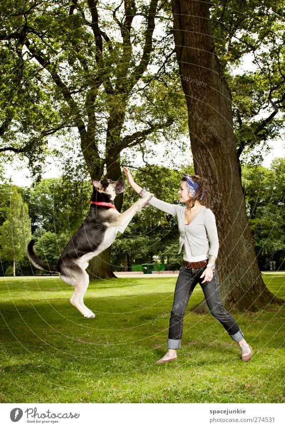 Jumping dog Mensch feminin Frau Erwachsene 1 18-30 Jahre Jugendliche Umwelt Natur Landschaft Schönes Wetter Baum Garten Park Wiese Wald Hose Jeanshose Tier