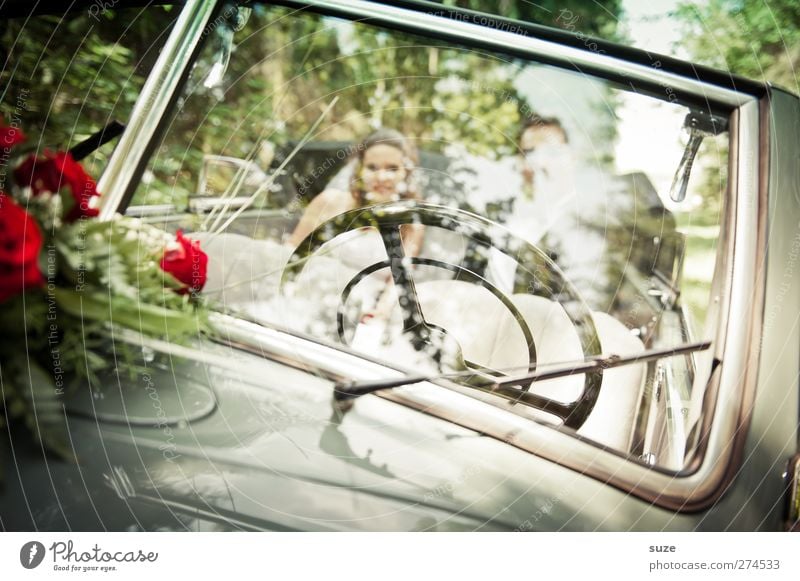 Old school Freude Glück Sommer Feste & Feiern Hochzeit Mensch feminin Junge Frau Jugendliche Junger Mann Erwachsene 18-30 Jahre Umwelt Natur Schönes Wetter Rose