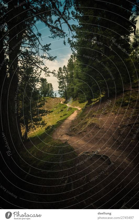 Es wird heller Ferien & Urlaub & Reisen Ausflug Abenteuer Ferne Freiheit Sommer Berge u. Gebirge wandern Natur Landschaft Schönes Wetter Wiese Wald Hügel Felsen