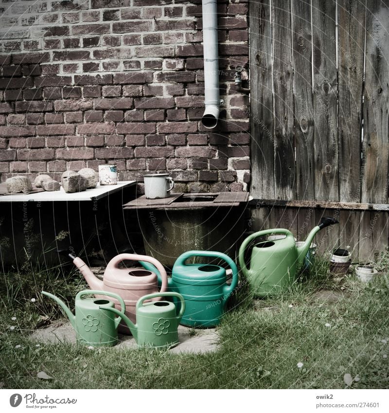 Auf Regen warten Gras Garten Mauer Wand Backstein Fallrohr Dachrinne Rohrleitung Gießkanne Stein Holz Kunststoff stehen nachhaltig natürlich viele grau grün rot