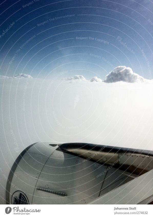 Schneeturbine Ferien & Urlaub & Reisen Tourismus Freiheit Getriebe Luftverkehr Natur Himmel Wolken Sonnenlicht Schönes Wetter Verkehr Flugzeug Passagierflugzeug