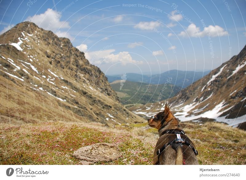 Aussicht Leben Wohlgefühl Zufriedenheit Ferien & Urlaub & Reisen Tourismus Ausflug Abenteuer Ferne Berge u. Gebirge wandern Umwelt Natur Landschaft Erde Luft