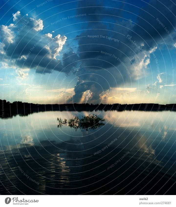 Wasser und Wolken Umwelt Natur Landschaft Pflanze Himmel Gewitterwolken Horizont Klima Wetter Schönes Wetter Sträucher Wald Küste Seeufer dunkel gigantisch groß