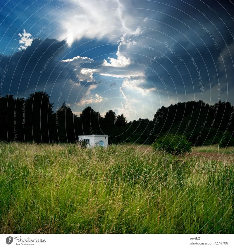 Tiefes Gewölk Umwelt Natur Landschaft Pflanze Urelemente Luft Himmel Gewitterwolken Horizont Wetter Unwetter Baum Gras Sträucher Wiese Wald dunkel gigantisch