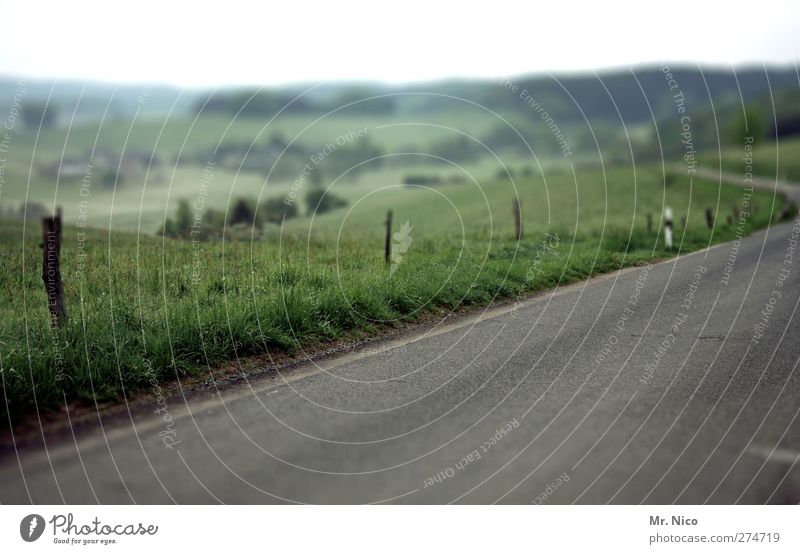 Landstraße Umwelt Natur Landschaft Wiese Feld Hügel Dorf Verkehrswege Straße Wege & Pfade Heimweh Einsamkeit Umweltschutz Horizont Tilt-Shift Bergisches Land