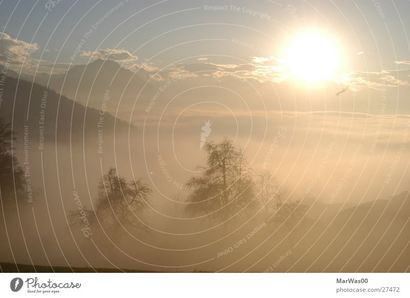 Rheintal im Nebel Sonnenuntergang Herbst Wolken schemenhaft Baum Berge u. Gebirge