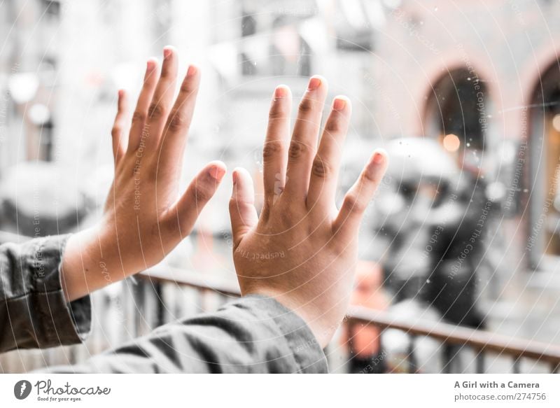 let's raise our hands to Germany feminin Junge Frau Jugendliche Hand Finger 1 Mensch Menschenmenge berühren außergewöhnlich Coolness elegant schön einzigartig