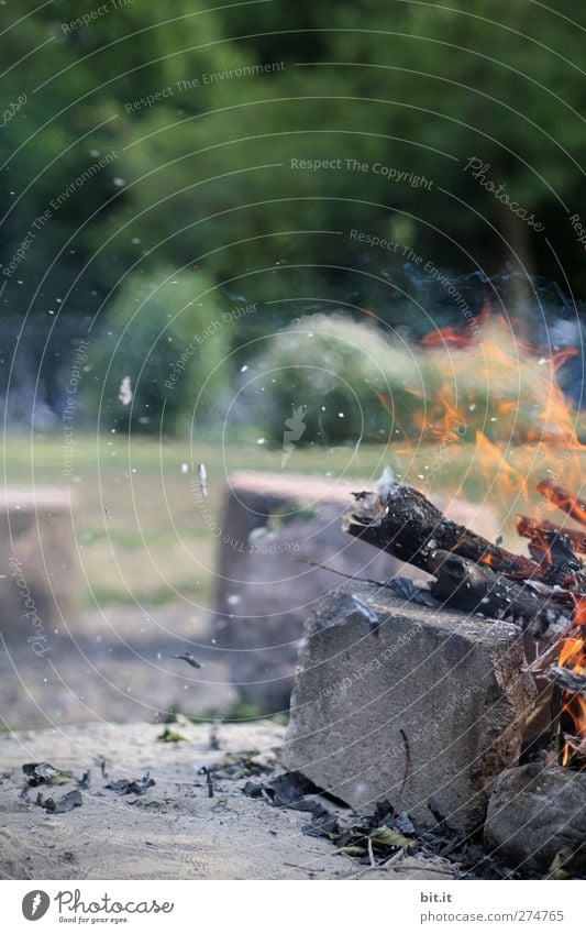 Grillplatz Natur Urelemente Feuer Sommer Baum Waldrand heiß Stimmung Sicherheit Schutz Warmherzigkeit gefährlich Feuerstelle Grillsaison Wärme Brandgefahr Stein