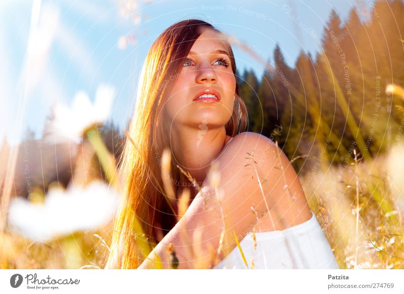 verträumt Wiese Blume Gras Frau sitzen Sonnenuntergang Gegenlicht träumen nachdenklich Sonnenstrahlen Himmel Blumenwiese Margerite Abenddämmerung Jugendliche