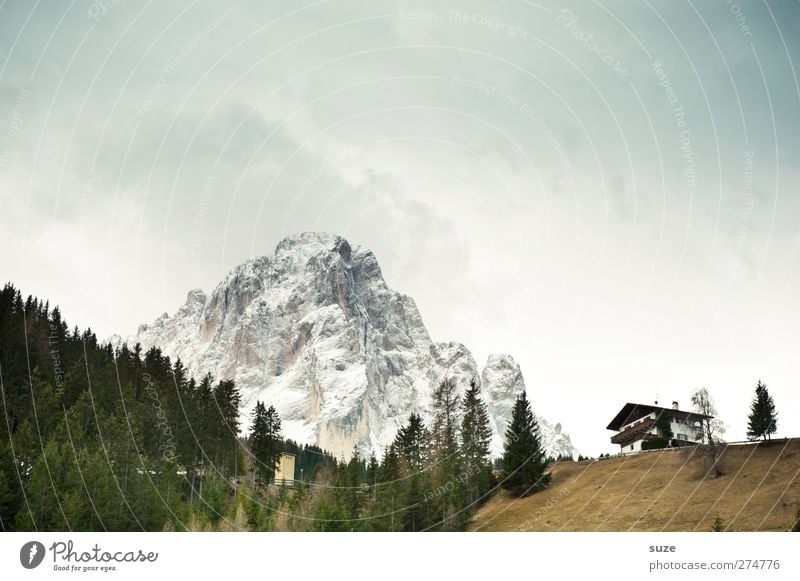 Berghütte Ferien & Urlaub & Reisen Sommer Berge u. Gebirge Häusliches Leben Haus Umwelt Natur Landschaft Pflanze Urelemente Himmel Klima Wiese Wald Alpen Gipfel