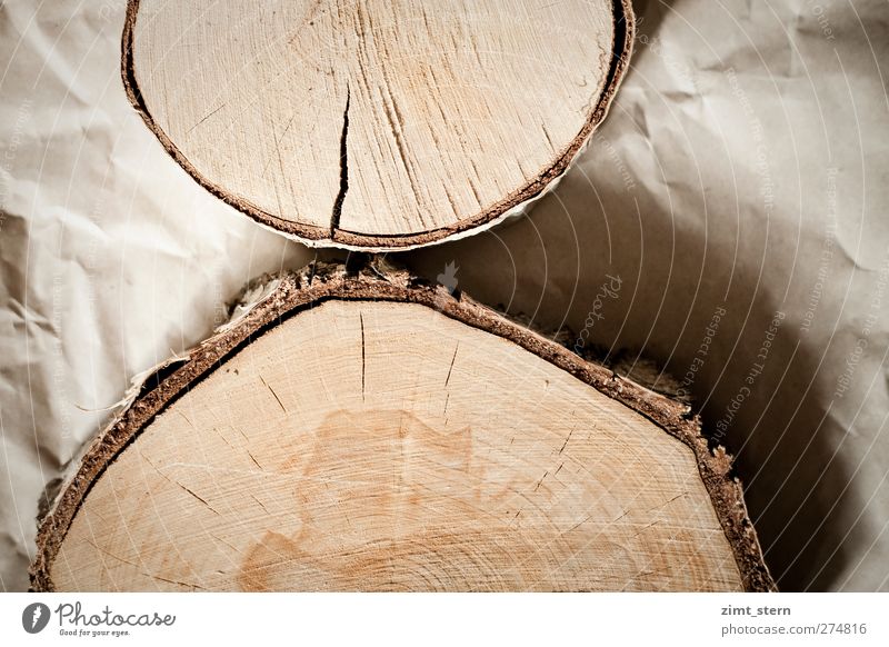 Birkenringe Handwerker Förster Tischler Baum Papier Holz alt authentisch natürlich rund trocken braun Holzscheibe Jahresringe knittern Gedeckte Farben