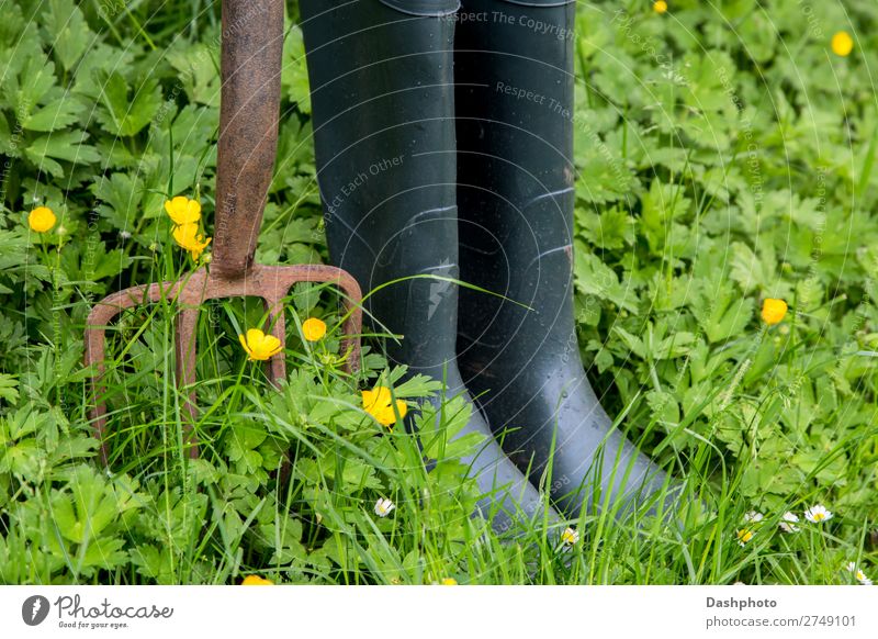 Alte Gartengabel und Gummistiefel mit Unkraut und Wildblumen Gabel Freizeit & Hobby Gartenarbeit Natur Pflanze Blume Gras Blatt Wiese Stiefel Rost gelb grün