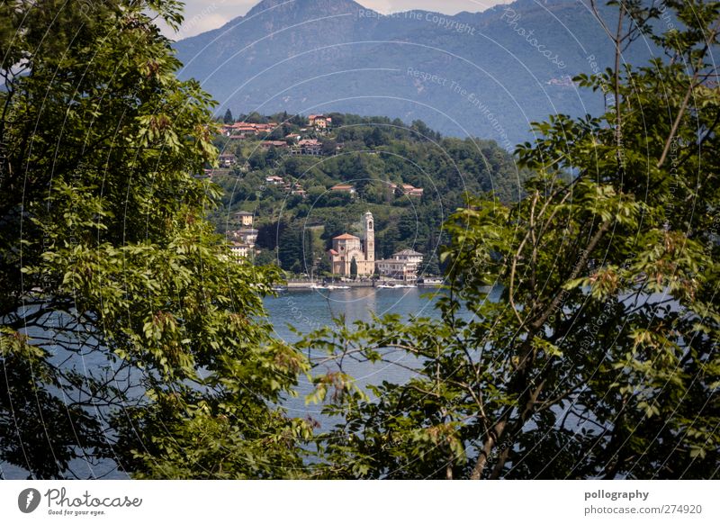 entdecken Ferien & Urlaub & Reisen Tourismus Ausflug Sightseeing Sommerurlaub Umwelt Natur Landschaft Pflanze Schönes Wetter Sträucher Wald Hügel Felsen Alpen