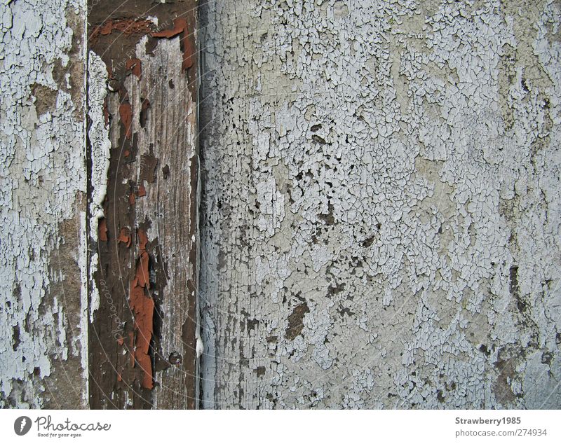 Nicht nur der erste Lack ist ab... Hütte Mauer Wand Farbstoff Holz alt braun weiß verwittert verfallen Farbfoto Außenaufnahme Nahaufnahme Detailaufnahme