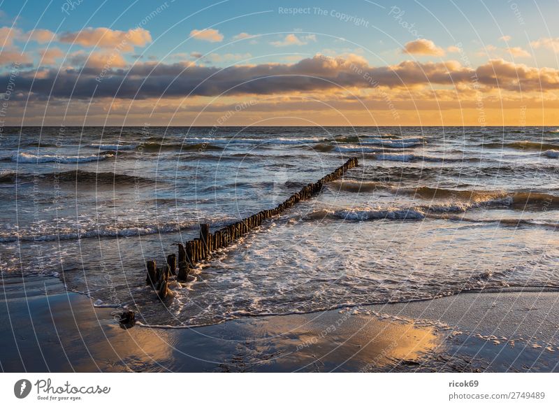 Ostseeküste auf der Insel Moen in Dänemark Erholung Ferien & Urlaub & Reisen Tourismus Strand Meer Natur Landschaft Wasser Wolken Herbst Küste blau gelb Idylle