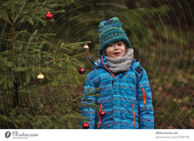 Kind steht an einem Weihnachtsbaum Feste & Feiern Weihnachten & Advent Silvester u. Neujahr Mensch maskulin Junge 1 8-13 Jahre Kindheit Umwelt Natur Winter Baum