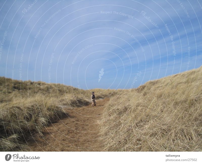 Dünenweg Dünengras Weg zum Strand zwischen Dünen Kind läuft