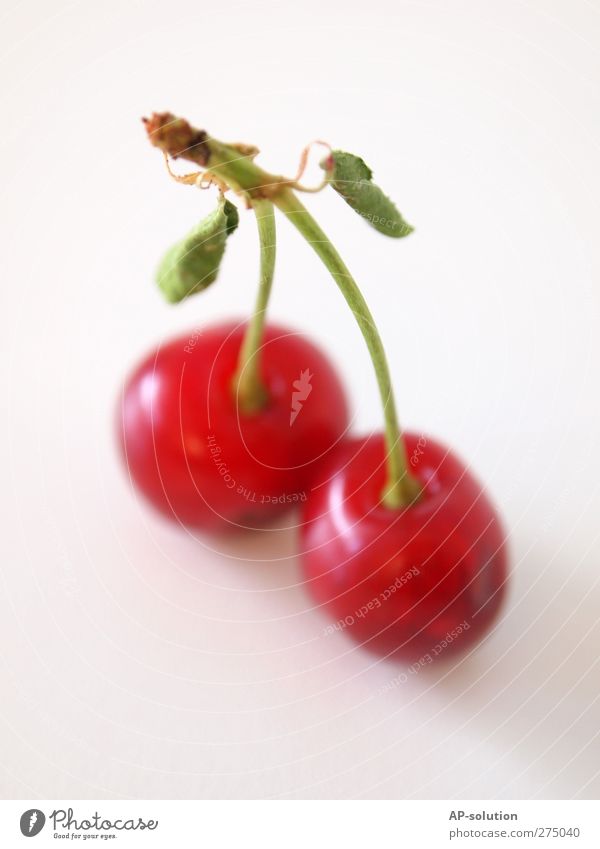 Kirschen *1 Lebensmittel Frucht Dessert Marmelade Ernährung Bioprodukte Gesundheit lecker sauer süß grün rot genießen Farbfoto Innenaufnahme Menschenleer